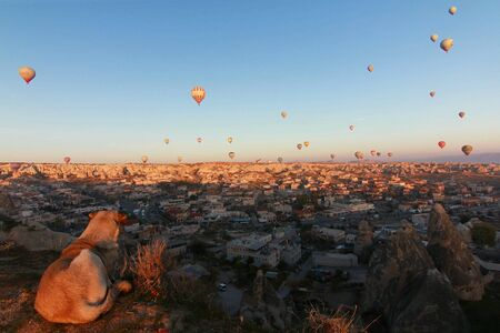Hot air balloon in capppadocia  turkeyの素材