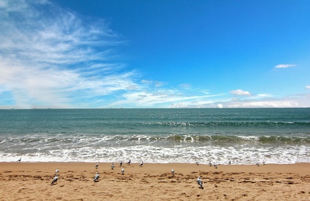Hae hun dae beach at busan,south koreaの素材