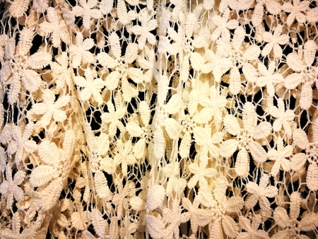 Background of laceworkの写真素材