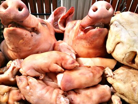 Pig's head and side dish to worship God is to give Him our love in the Traditions Of Thailandの写真素材