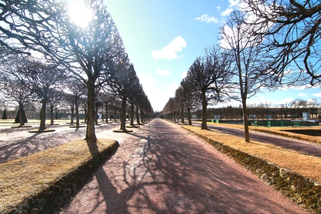 The beautiful park in Saint Petersburg ,Russiaの写真素材