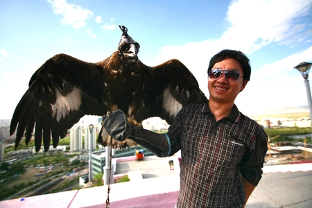 Ulaanbaatar Mongolia July 3 ,2016 - The man  catch a Hawk at  Zaisan Memorial