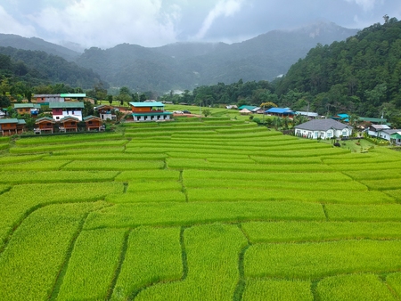 Rice terrace at Doi Inthanon National Park  Chom Thong District  Chiang Mai Province, Thailand in bird eye view の写真素材