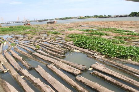 Logs floating above the riverの写真素材