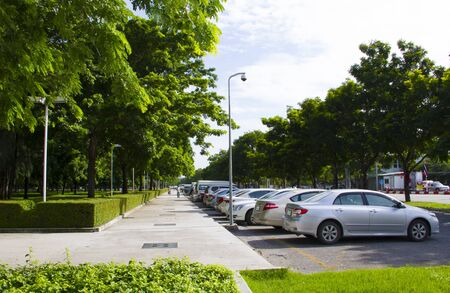 Car park in the gardenのeditorial素材