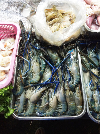 Giant Tiger Prawn ice in marketの写真素材