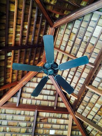 Wood Ceiling fansの写真素材