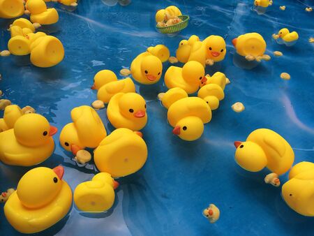 yellow ducks plastic in the water