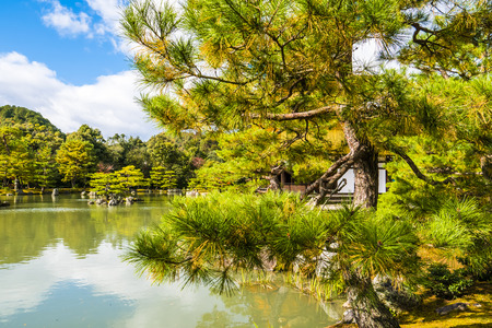 Japanese zen garden, Autumn Lakeの写真素材