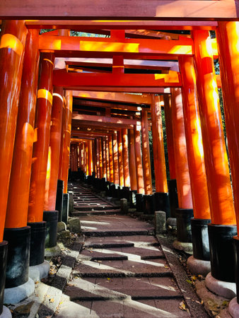 Red torii gate shinto in kyoto, japanの写真素材