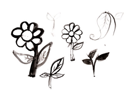 Hand-drawn black ink flowers and leaves on white background.の写真素材