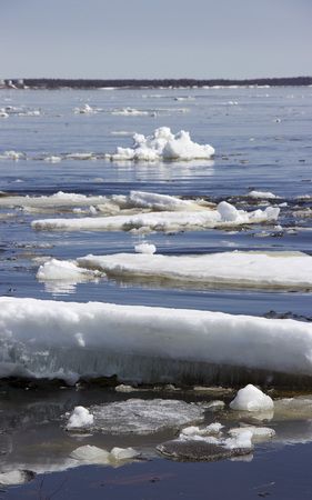 Ice drift on the river.の写真素材