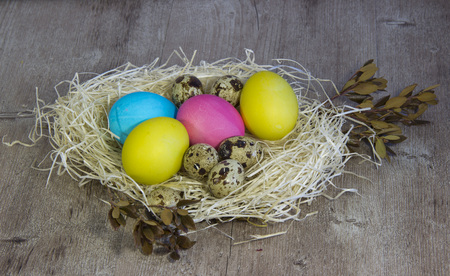 Colored Easter eggs.の写真素材