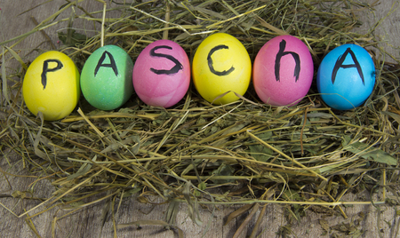 Easter eggs with the inscription.の写真素材