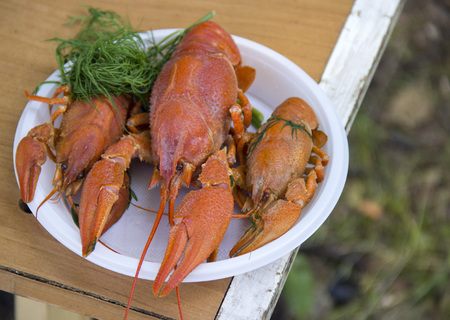 Boiled crayfish on the plate.の写真素材