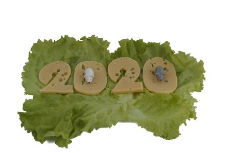 new year 2020 figures from cheese. the cheese lies on the lettuce leaves, isolated on a white background.の写真素材