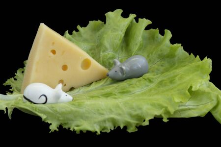 figures of rats and a piece of cheese on a lettuce leaf isolated on a black background. Happy New Year.Symbol of 2020 New Year white or metal silver rat.の写真素材
