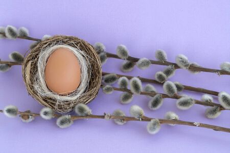 Easter background. Easter egg in the nest. willow branches or verbal, test with eggs on a light purple background, happy Easter.の写真素材