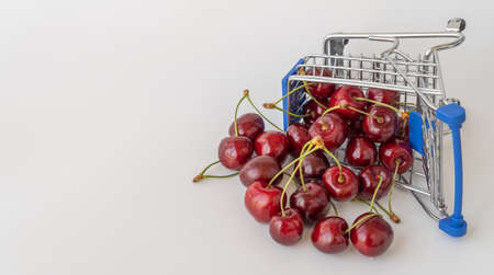 food basket with ripe cherries. concept of trading products, growth of prices for fruit.の写真素材