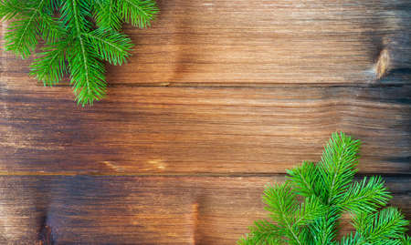 green Christmas tree on a wooden vintage background. moraine tree and spruce.