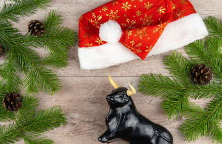 Christmas bull and spruce. bull as a symbol of the new year 2021. fir branches with cones on a wooden background. red hat of Santa Claus. top view, copy spaceの写真素材