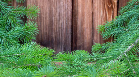 green Christmas tree on a wooden vintage background. selective focus. moraine tree and spruce. copy...