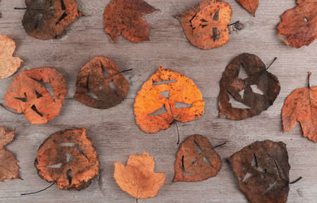dry foliage on a wooden background. on the leaves made a scary mask. creative holiday of Halloween.