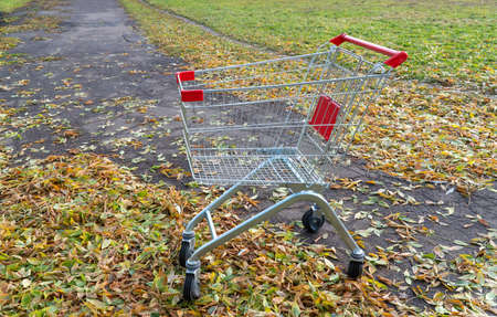 grocery basket on the street. a supermarket cart sits on the ground covered with fallen leaves....