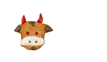 ginger cake in the shape of a bull's face on a white backgroundの写真素材