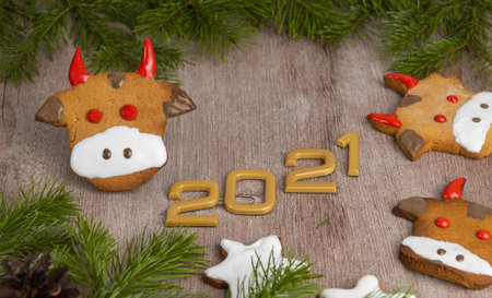 ginger cakes in the shape of a bull face. selective focus. traditional Christmas gingerbread cookies. holiday treats handmade. Christmas bull, symbol of the new year 2021の写真素材