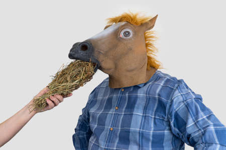 man in horse mask. woman feeds hay to a horseの写真素材