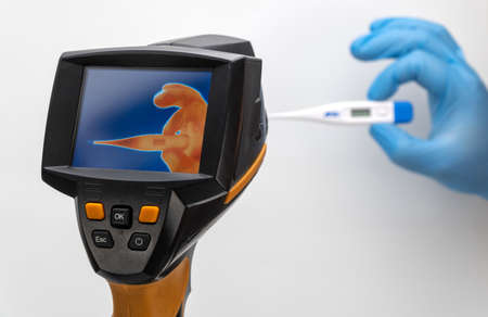 hand with a thermometer is displayed on the thermal imager screen. selective focus.の写真素材