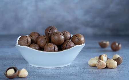 Macadamia nut in a vase. selective focus. kindal, australian walnut. fruit has a creamy chocolate taste. rarest and most expensive nut in the worldの写真素材