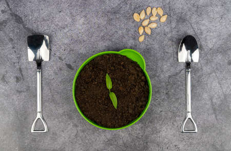 pot for seedlings and seeds on a dark background. spoons in the shape of a shovel. the concept of planting seedlings of plants. gardening.の写真素材