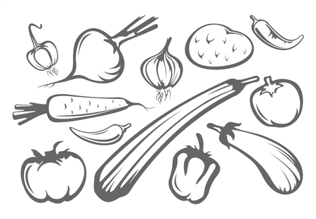 The stylized tomatoes, pepper, eggplant, onion, garlic, potatoes and zucchini isolated on a white background.のイラスト素材