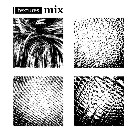 Skin textures set isolated on white background. Vector collection.のイラスト素材