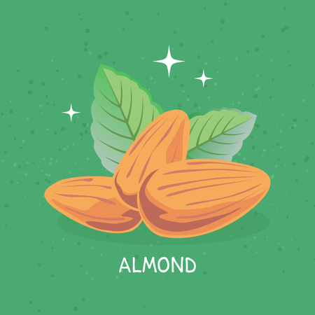 Almond and mint leaves isolated on green background. Organic food and health food symbols.のイラスト素材
