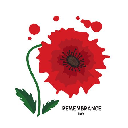 Red poppy with leaves isolated on white background. Remembrance Day vector illustration. Design element for poster, banner, leaflet or sticker.のイラスト素材