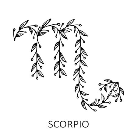 Floral pattern with zodiac sign Scorpio isolated on white background. Zodiac constellation. Hand drawn style. Design element for horoscope and astrological forecast.のイラスト素材