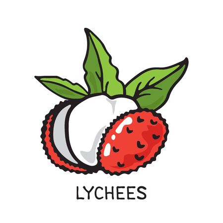 Doodle lychees isolated on white background. Vector illustration. Design element for greeting card, poster, leaflet, sticker, booklet, cover.のイラスト素材
