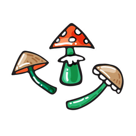 Isolated poisonous mushroom collection. Halloween vector illustration. Hand drawn style. Seamless pattern for leaflet, poster, sticker, booklet,のイラスト素材