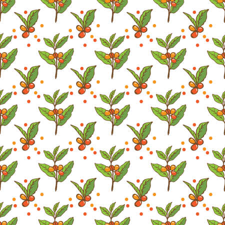 Pattern with the coffee branch.のイラスト素材