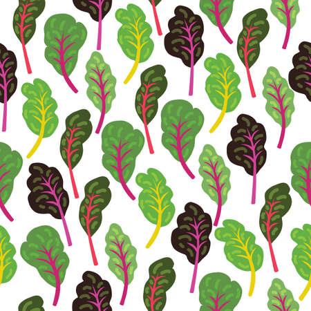 Mangold or swiss chard or beetroot seamless paper. Healthy food nutrition product. Lifestyle concept, culinary herb. Design element for fabric, wallpaper, wrapping paper, menu, farm product promotion, healthy food, culinary.のイラスト素材