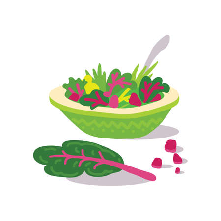 Mangold salad or swiss chard leaves. Healthy food nutrition product. Lifestyle concept, culinary herb. Design element for menu, farm product promotion, healthy food, culinary.のイラスト素材