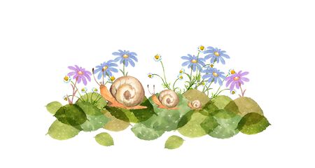 Snail family with flowersの写真素材