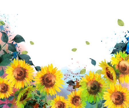 watercolor sunflowersの写真素材