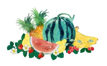 Tropical fruitsの写真素材