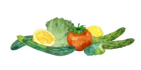 Watercolor vegetablesの写真素材