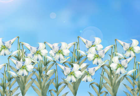 White snowdrops on a background of blue sky. Place for text.の写真素材