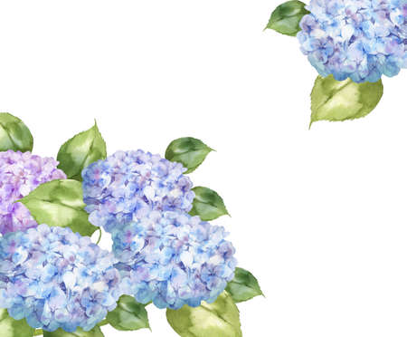 Watercolor blue hydrangea on a white background. Hand-drawn illustration.